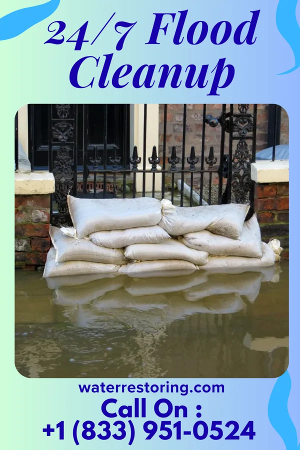 24/7 Flood Cleanup in Hobgood, NC