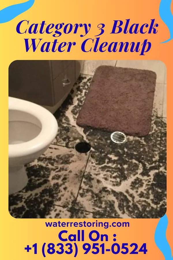 Category 3 Black Water Cleanup in Hobgood, NC