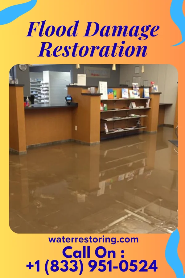 Flood Damage Restoration in Hobgood, NC