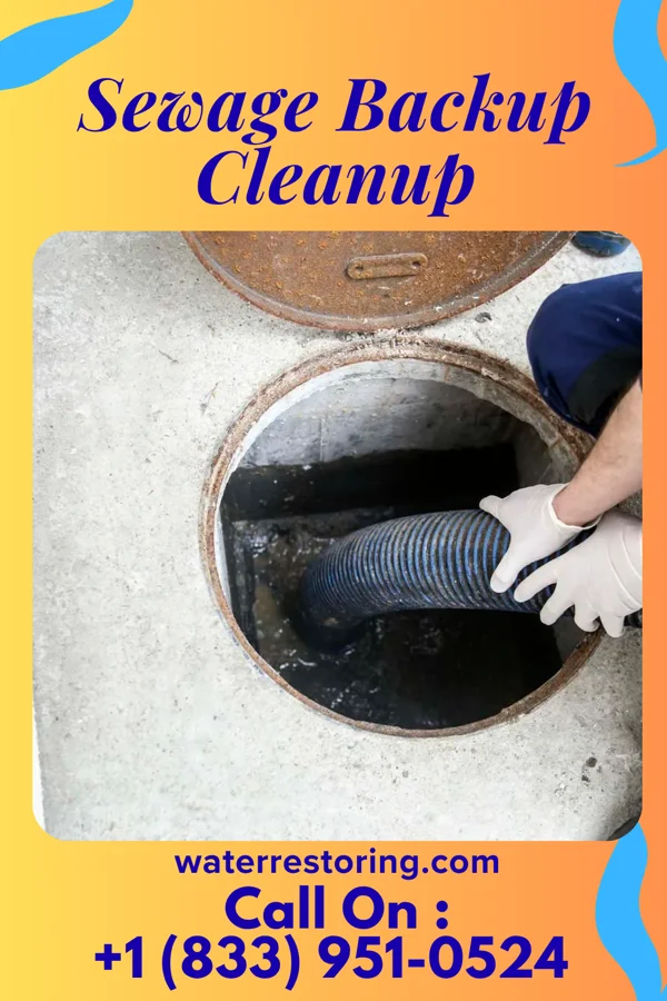 Sewage Backup Cleanup in Hobgood, NC