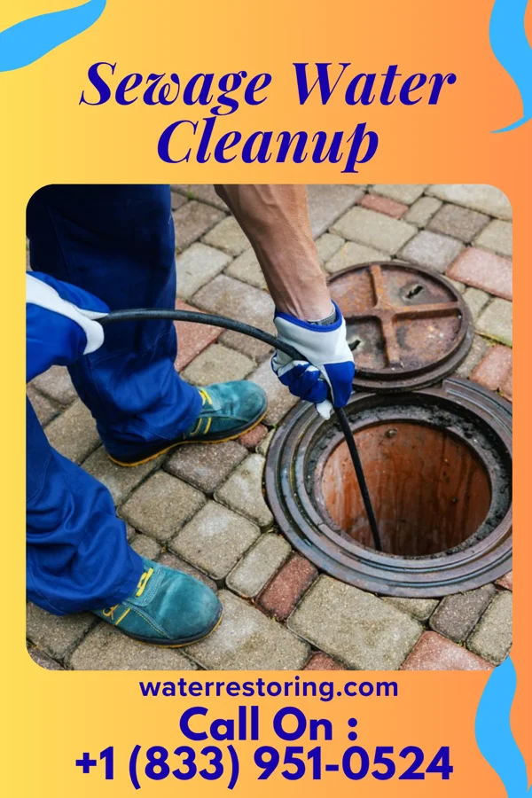 Sewage Water Cleanup in Hobgood, NC